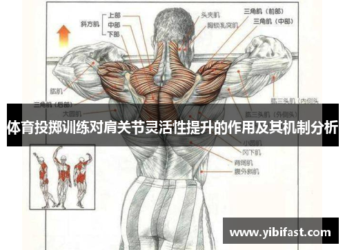 体育投掷训练对肩关节灵活性提升的作用及其机制分析